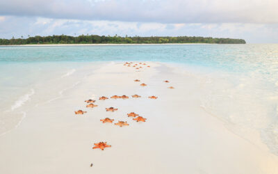 Se rendre à Balabac avec palawan.live